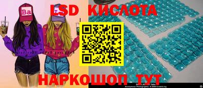 spice Донецк