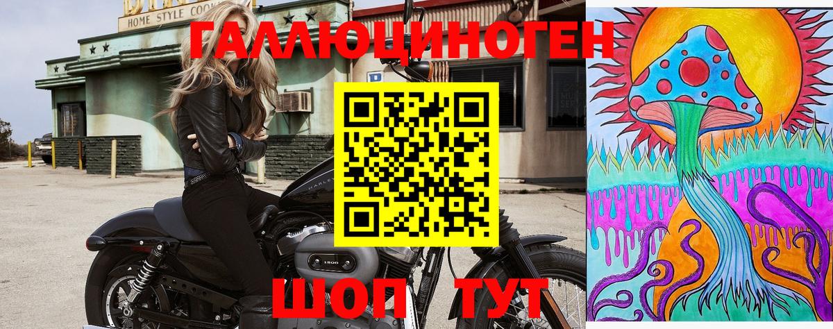 Псилоцибиновые грибы MAGIC MUSHROOMS  Вход с VPN  Псилоцибиновые грибы мухоморы  купить наркоту  Мурманск 