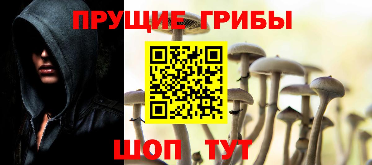 Псилоцибиновые грибы прущие грибы Мурманск